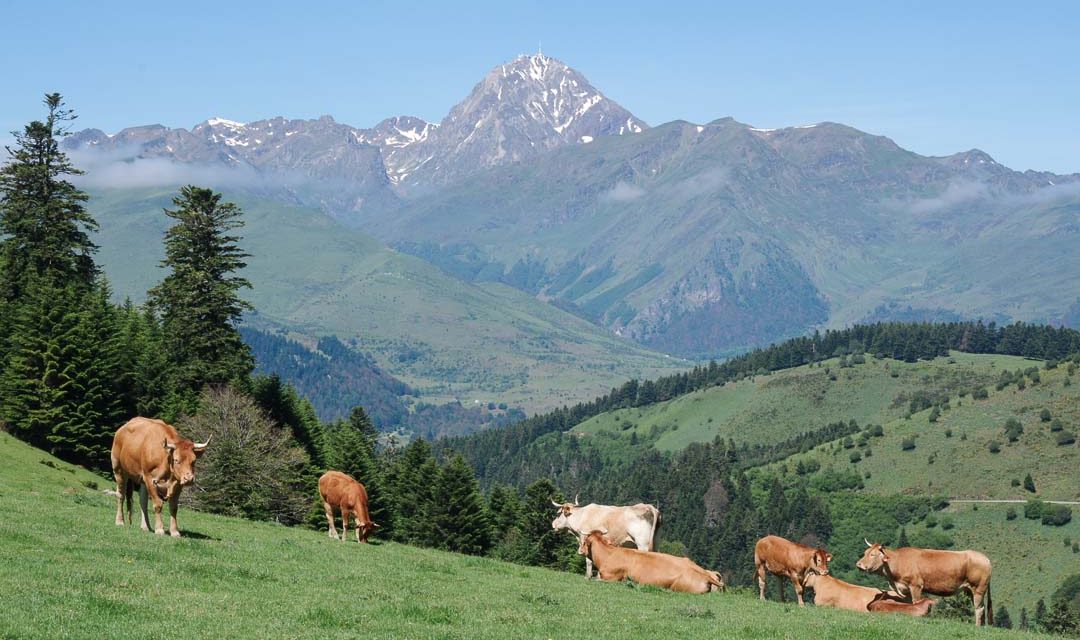 conférence « Les Pyrénéistes et l’occitan, avec des exemples tirés de la toponymie pyrénéenne » conférence « Les Pyrénéistes et l’occitan, avec des exemples tirés de la toponymie pyrénéenne »